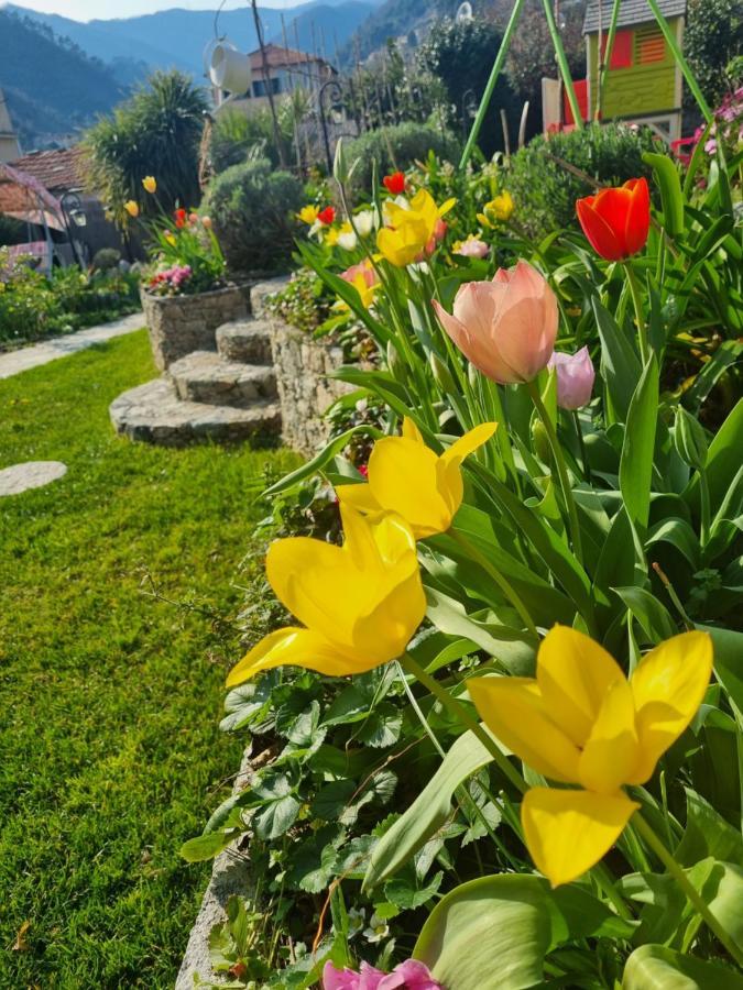 Casa Vacanze Family Albisola Superiore Kültér fotó