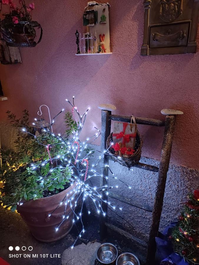 Casa Vacanze Family Albisola Superiore Kültér fotó